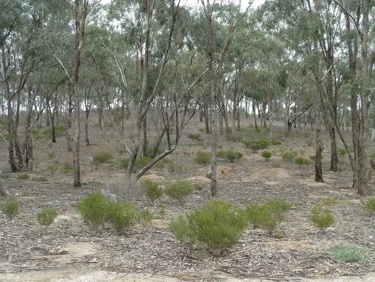 Fifth view of Homely rural property listing, CA 5B Richmond Plains Road, Wedderburn VIC 3518