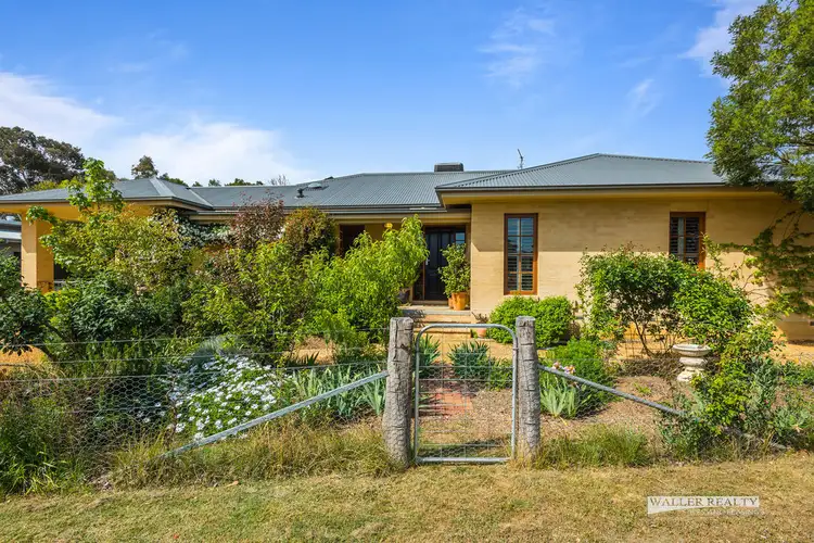 Main view of Homely house listing, 49 Panmure Street, Newstead VIC 3462