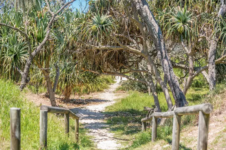 Sixth view of Homely apartment listing, 6/13 Cypress Crescent, Cabarita Beach NSW 2488