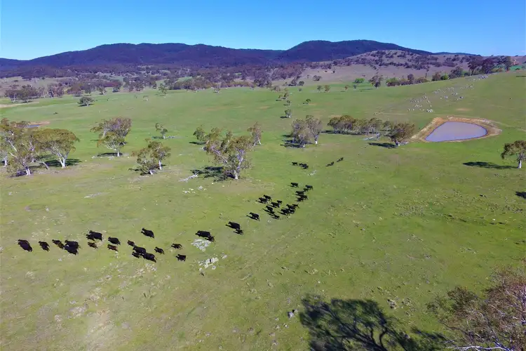 Main view of Homely rural property listing, 206 Ingledow Road, Bungendore NSW 2621