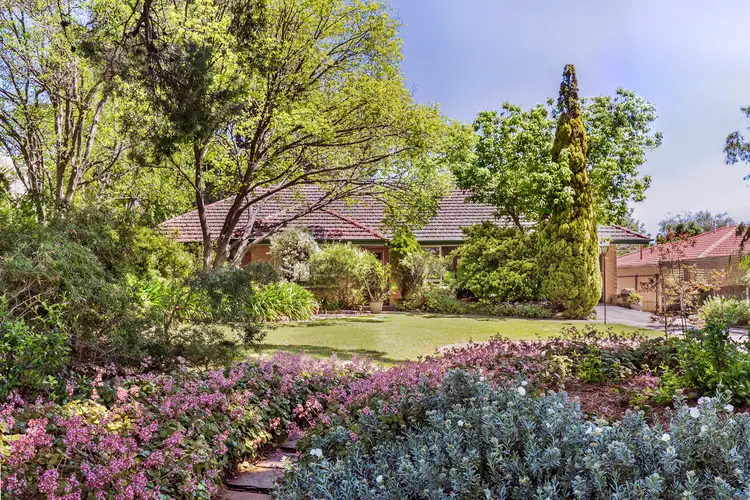 Main view of Homely house listing, 14 Thorpe Street, Torrens Park SA 5062