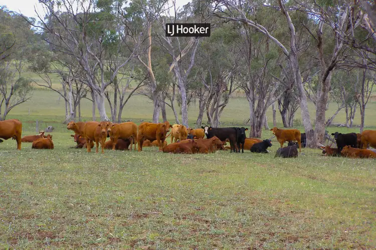 40 Hills Lane, Inverell NSW 2360