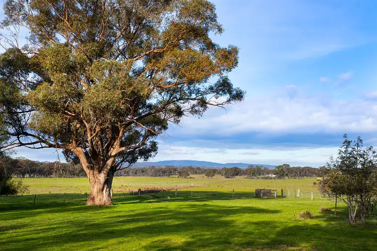 Fourth view of Homely house listing, 195 Three Chain Road, Walmer VIC 3463