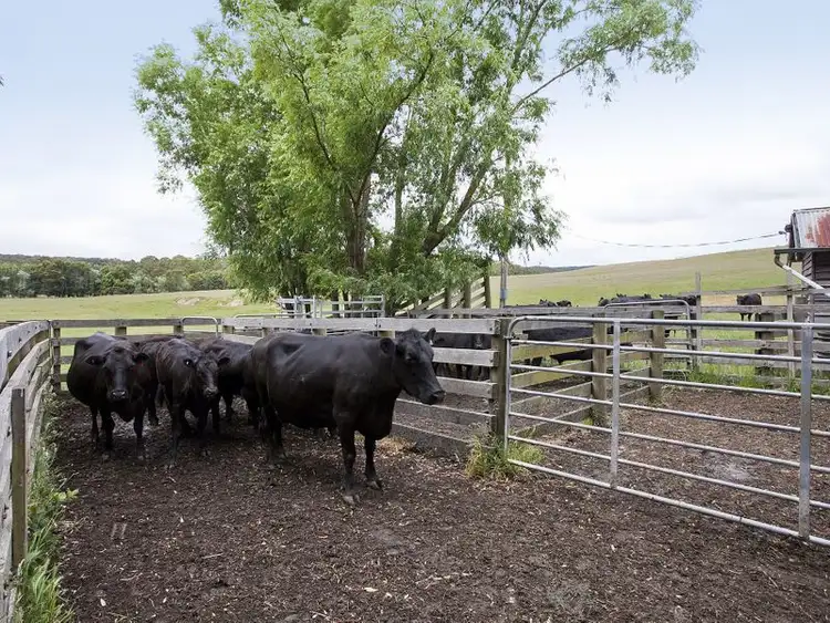 Third view of Homely house listing, 415 Pennyroyal Valley Road, Pennyroyal VIC 3235