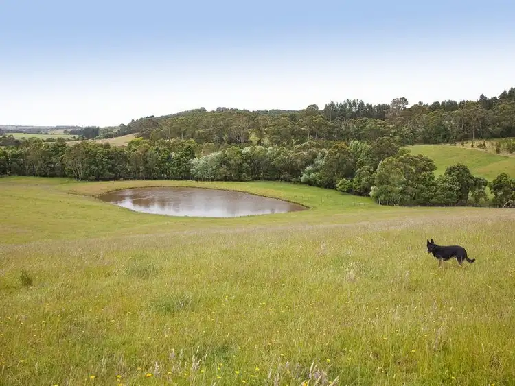 Fifth view of Homely house listing, 415 Pennyroyal Valley Road, Pennyroyal VIC 3235