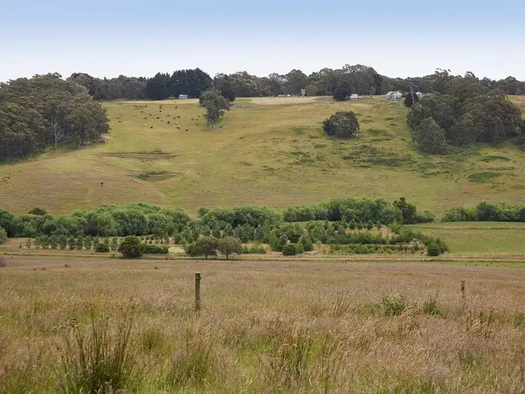 Sixth view of Homely house listing, 415 Pennyroyal Valley Road, Pennyroyal VIC 3235