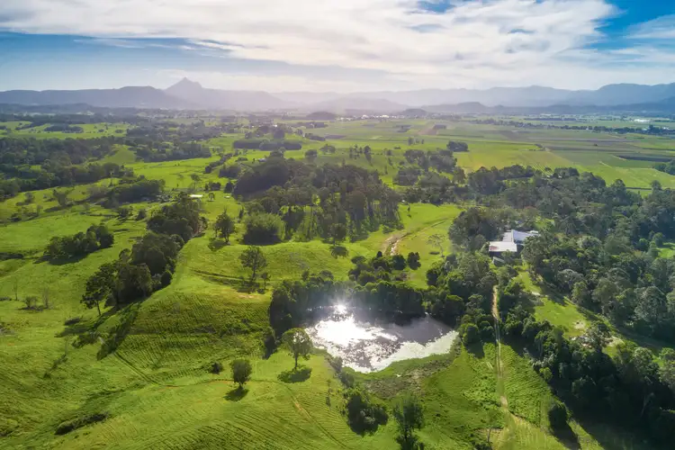 Third view of Homely rural property listing, 47 Hindmarsh Road, Nunderi NSW 2484