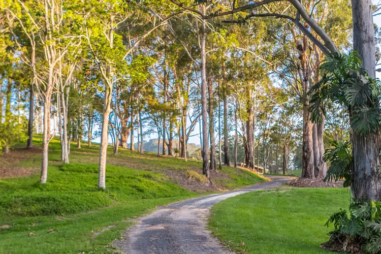Sixth view of Homely rural property listing, 47 Hindmarsh Road, Nunderi NSW 2484