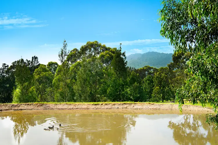 Fifth view of Homely rural property listing, 321 Bryces Road, Far Meadow NSW 2535