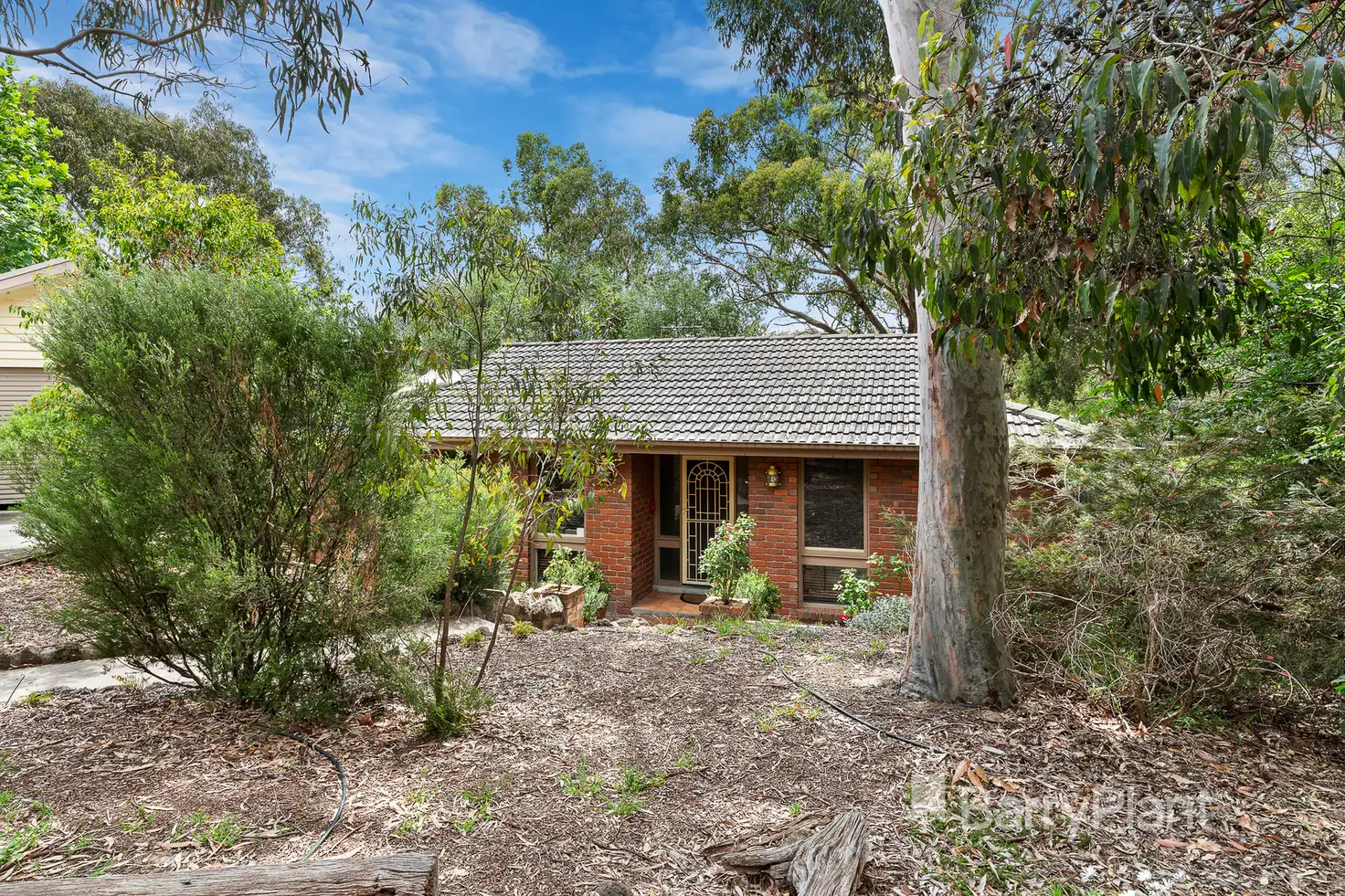 Main view of Homely house listing, 3 Hovea Court, Boronia VIC 3155