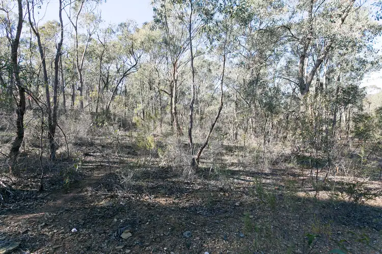 151 Osborne Street, Flora Hill VIC 3550