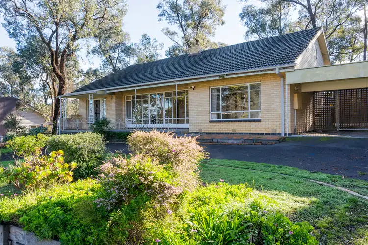 133 Lloyd Street, Bendigo VIC 3550