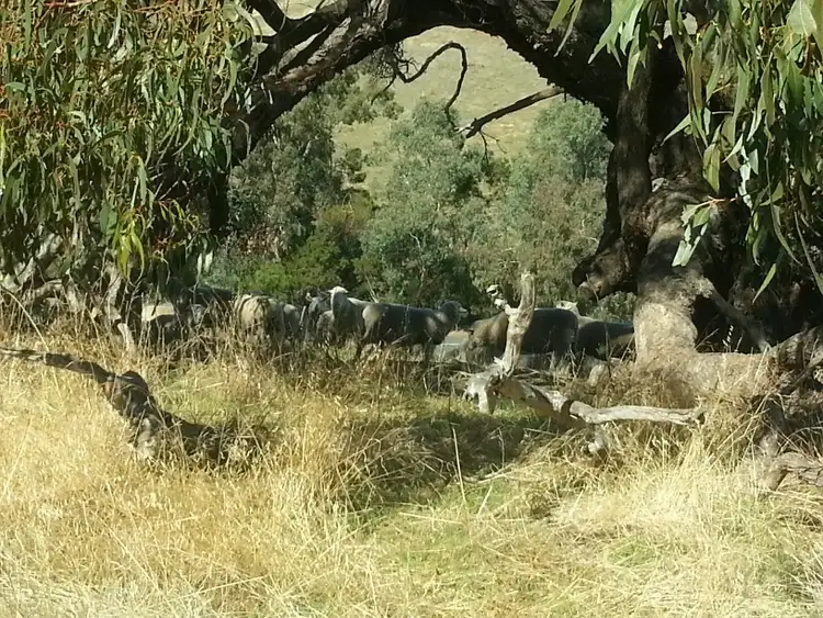 Fifth view of Homely land listing, Lot 5 North Harcourt Road, Sedgwick VIC 3551