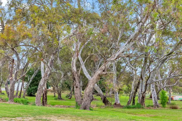 Sixth view of Homely land listing, 21 Jeffrey Street, Lobethal SA 5241