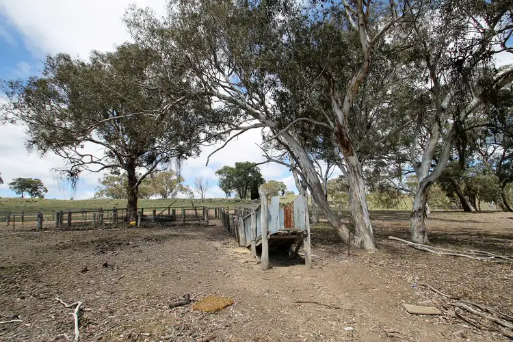 Sixth view of Homely rural property listing, 1916 Windeyer Road, Mudgee NSW 2850