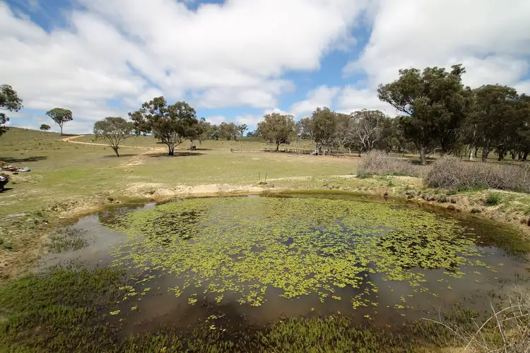 Seventh view of Homely rural property listing, 1916 Windeyer Road, Mudgee NSW 2850
