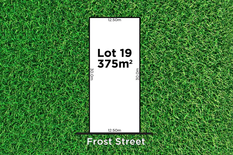 19 Frost Street, Newton SA 5074