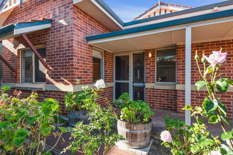 Main view of Homely house listing, 12a Whitfeld Street, Floreat WA 6014