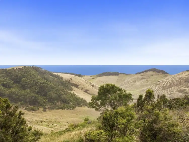 650 Blue Johanna Road, Johanna VIC 3238