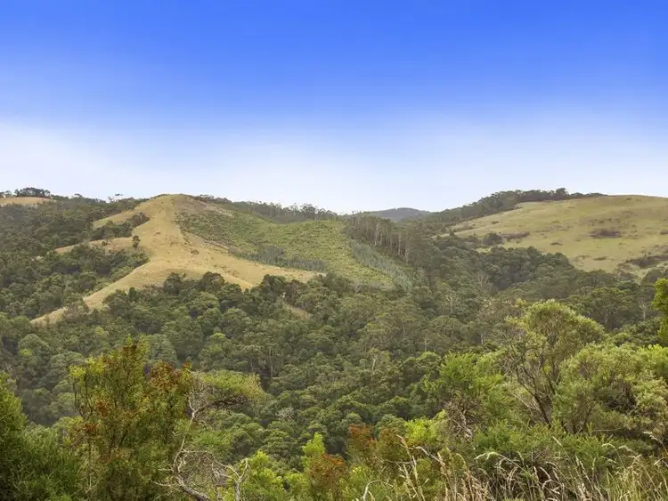 Third view of Homely land listing, 650 Blue Johanna Road, Johanna VIC 3238