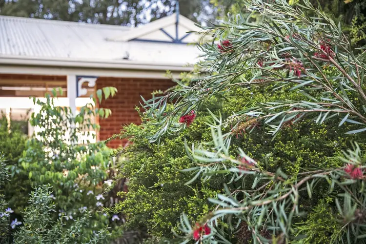 Main view of Homely house listing, 49 Peterho Boulevard, Point Lonsdale VIC 3225
