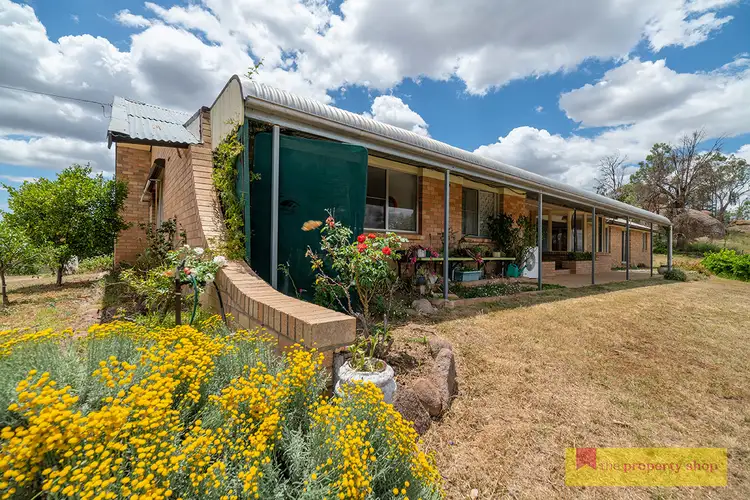Second view of Homely rural property listing, 878 Black Springs Road, Mudgee NSW 2850