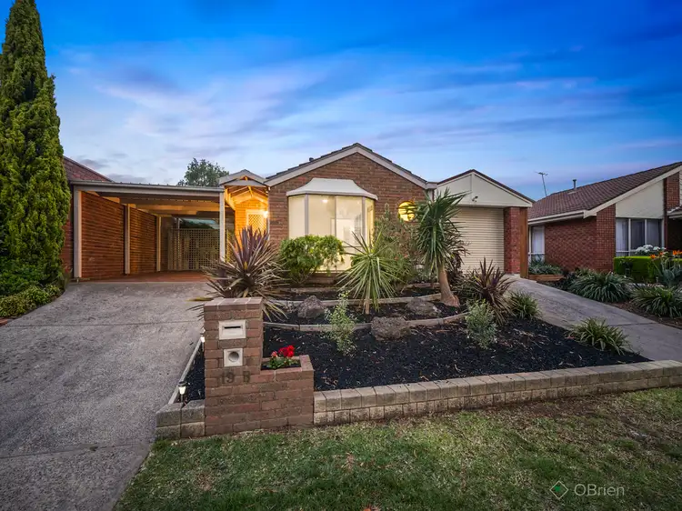 Main view of Homely house listing, 19B Mitre Crescent, Berwick VIC 3806