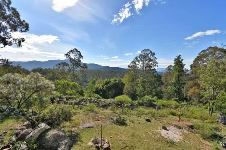 Third view of Homely rural property listing, 213 Murrabrine Forest Road, Yowrie NSW 2550