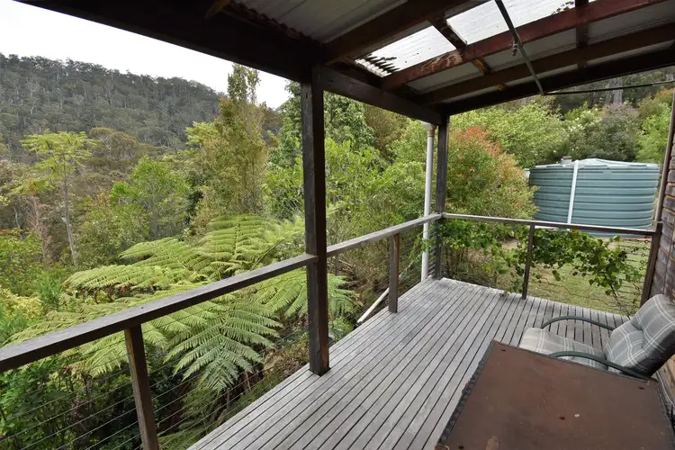 Fifth view of Homely rural property listing, 213 Murrabrine Forest Road, Yowrie NSW 2550