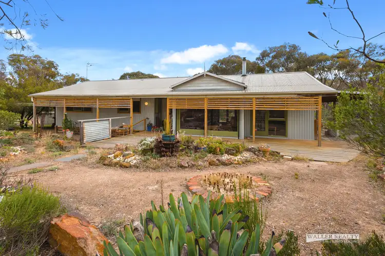 Main view of Homely house listing, 51 Ottreys Scrub Road, Walmer VIC 3463