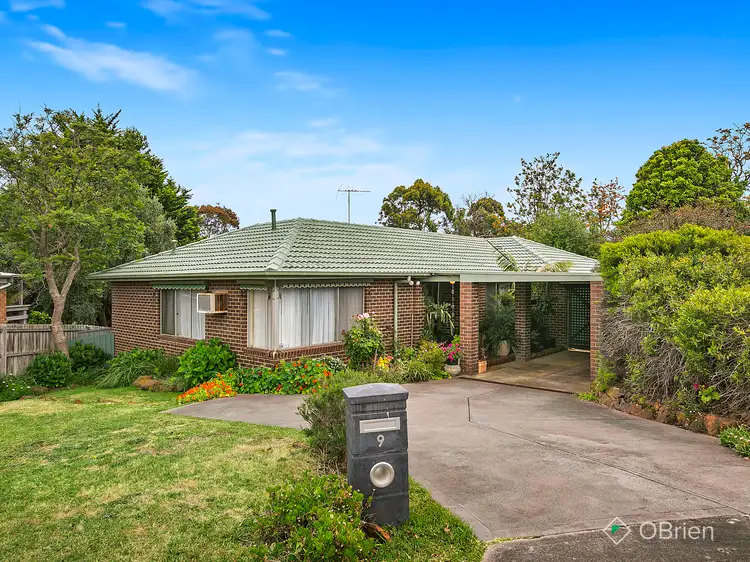 9 Shearwater Court, Mornington VIC 3931