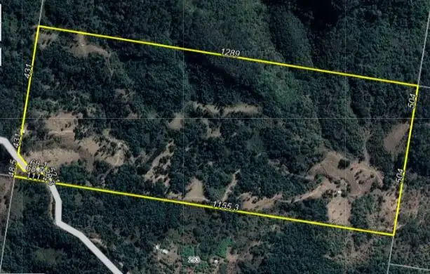 Main view of Homely rural property listing, Mount Elliott Road, Undullah QLD 4285