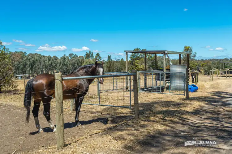 Fifth view of Homely house listing, 154 Chaplins Road, Walmer VIC 3463