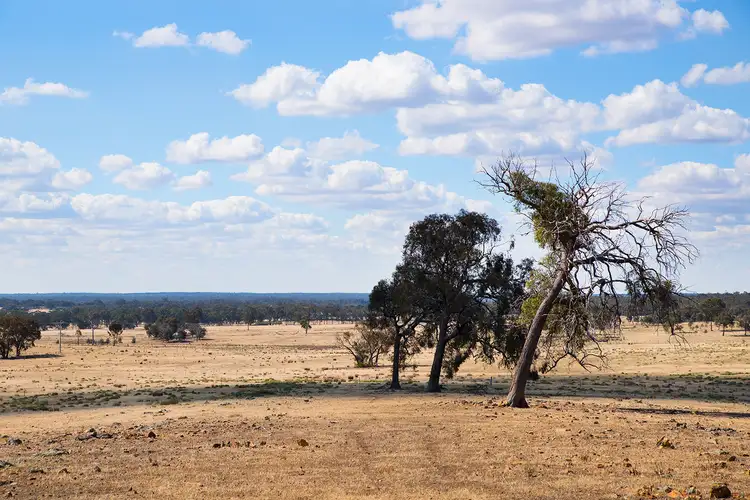 Third view of Homely land listing, Lot 10 Patons Road, Axe Creek VIC 3551