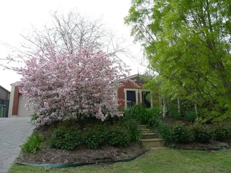 10 Andrewville Terrace