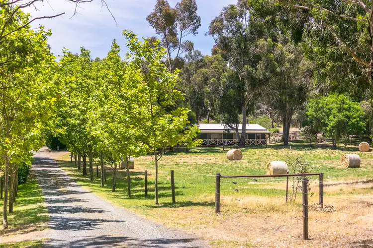 Main view of Homely rural property listing, 32 Scottsburn Road, Echunga SA 5153
