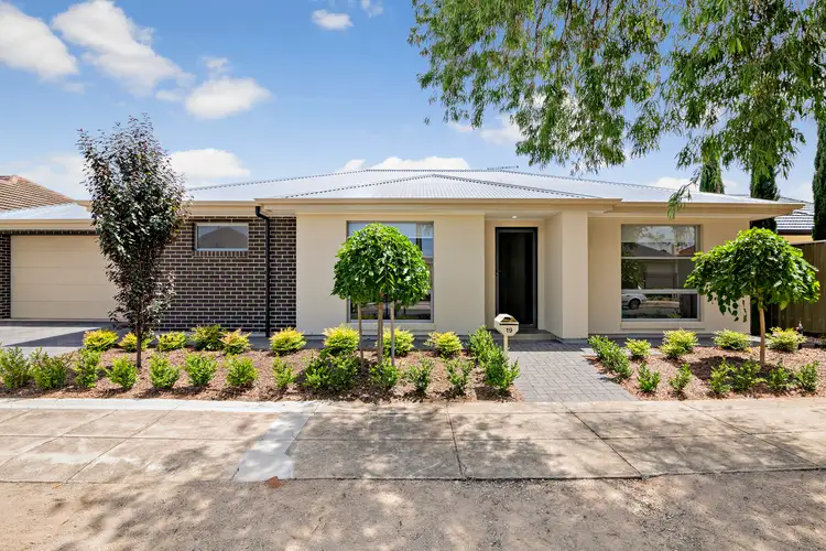 19 Fletcher Street, Netley SA 5037