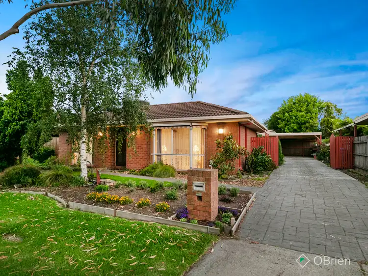 16 Coriyule Court, Cranbourne North VIC 3977