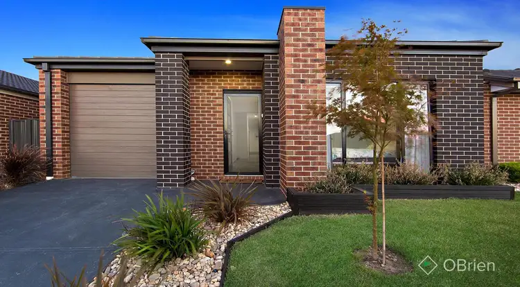 52 Crepe Avenue, Cranbourne West VIC 3977