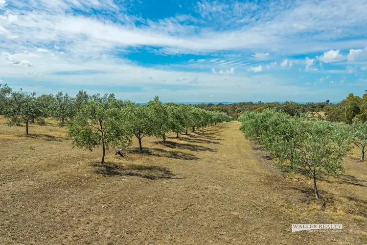 Sixth view of Homely land listing, 2C Stump Street, Maldon VIC 3463