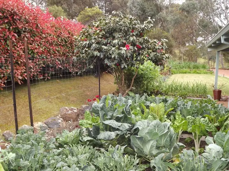 Fifth view of Homely house listing, 11 Lansdowne View, Bridgetown WA 6255