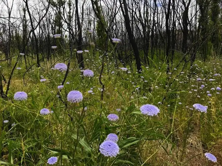 Seventh view of Homely land listing, 3 Wildcat Way, Preston Beach WA 6215