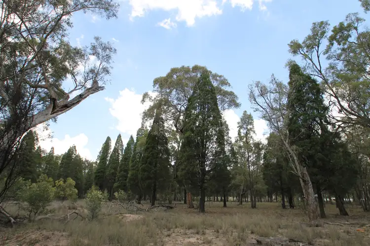 Sixth view of Homely rural property listing, 166 Maiala Road, Mudgee NSW 2850