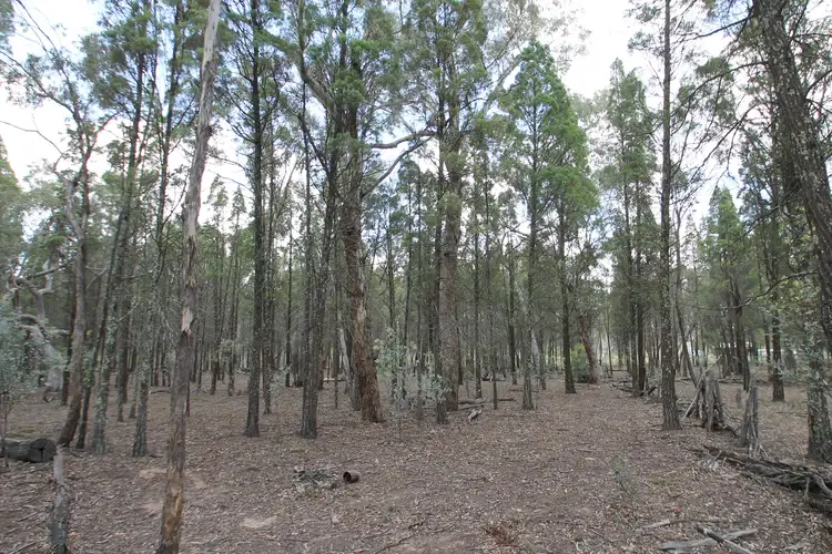 Seventh view of Homely rural property listing, 166 Maiala Road, Mudgee NSW 2850