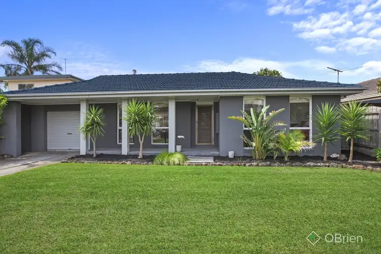 8 Anton Court, Chelsea Heights VIC 3196