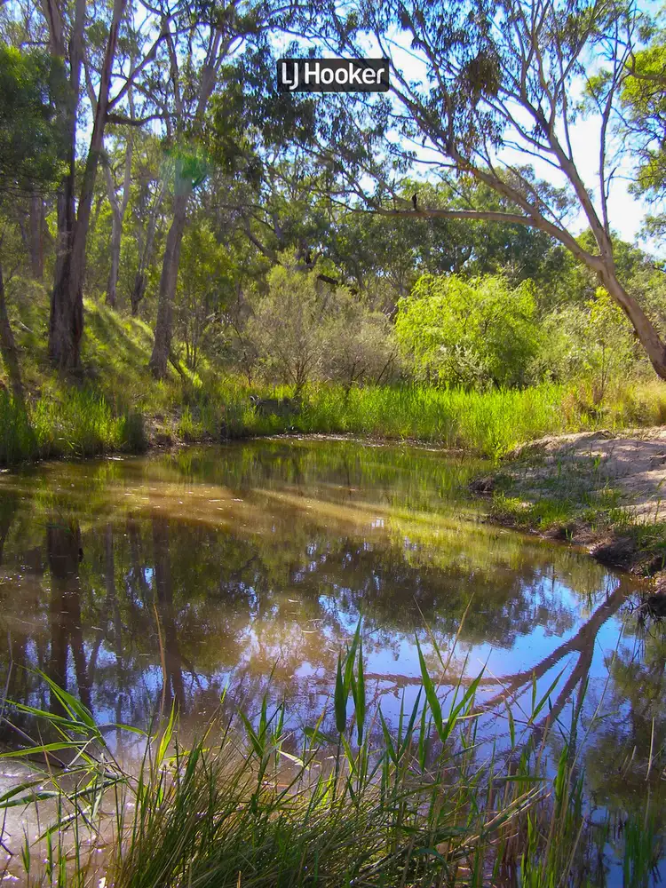 Third view of Homely rural property listing, 123 Glenwood Road, Inverell NSW 2360