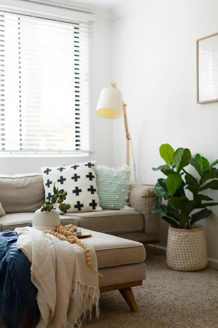 Sixth view of Homely apartment listing, 2/24 Jenkins Street, Collaroy NSW 2097
