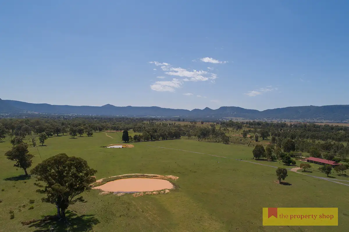 Main view of Homely rural property listing, 313 Noola Road, Rylstone NSW 2849