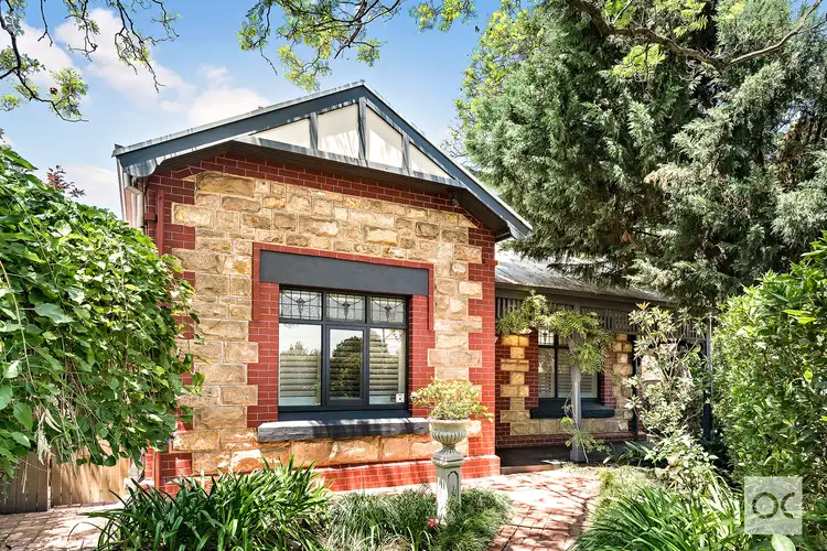 8 Vardon Terrace, Millswood SA 5034