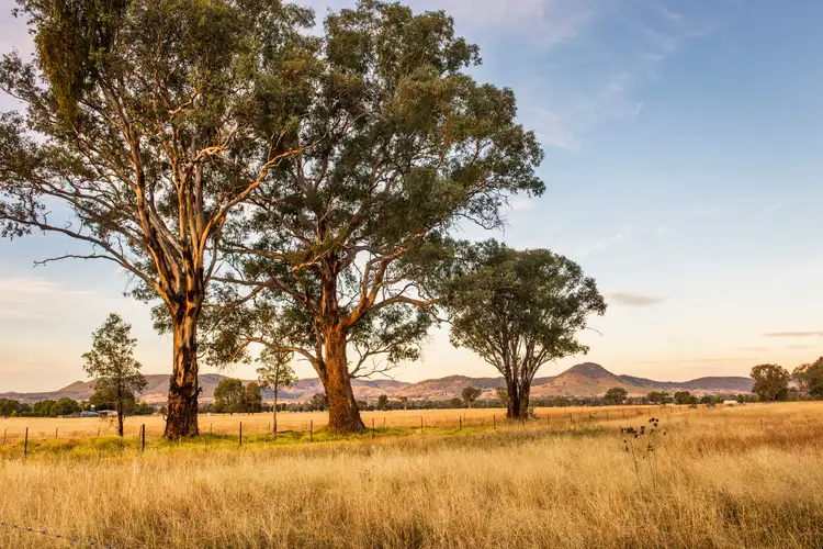 Main view of Homely land listing, LOT 37 Broadhead Road, Mudgee NSW 2850